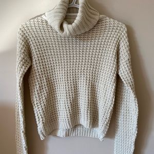 Knit Turtleneck Sweater